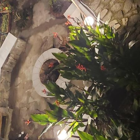 Kasauli Cascade A Cheerfull 4 Bedroom Challet المظهر الخارجي الصورة