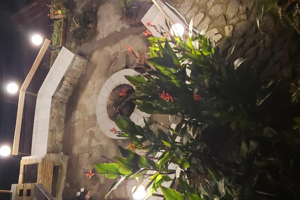 Kasauli Cascade A Cheerfull 4 Bedroom Challet المظهر الخارجي الصورة
