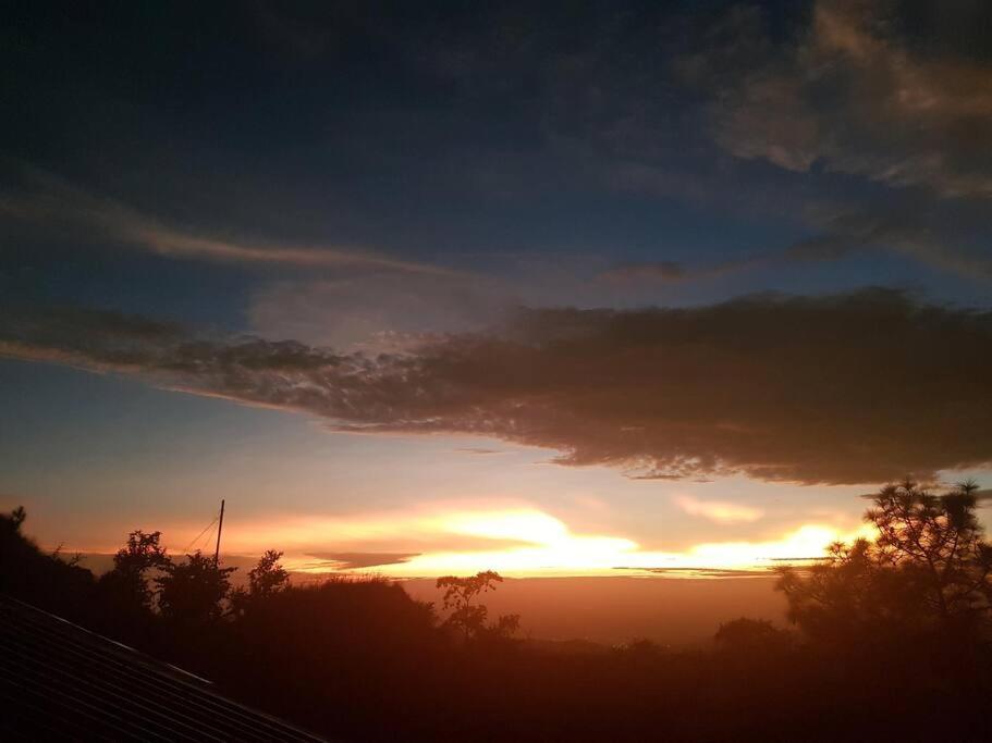 Kasauli Cascade A Cheerfull 4 Bedroom Challet المظهر الخارجي الصورة