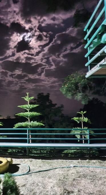 Kasauli Cascade A Cheerfull 4 Bedroom Challet المظهر الخارجي الصورة