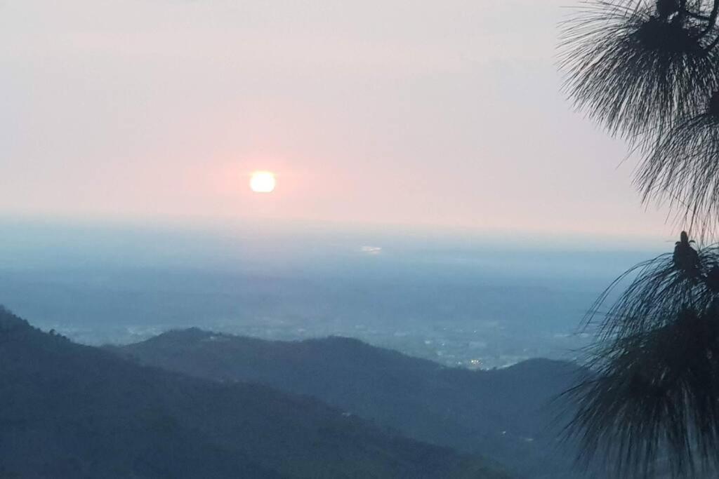 Kasauli Cascade A Cheerfull 4 Bedroom Challet المظهر الخارجي الصورة