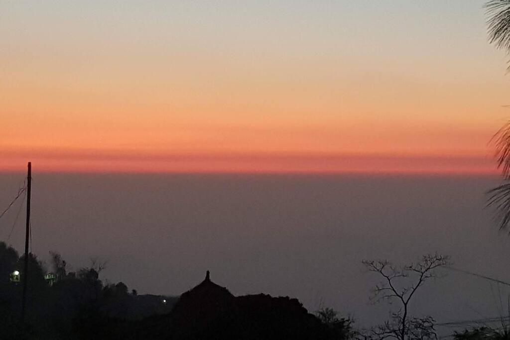 Kasauli Cascade A Cheerfull 4 Bedroom Challet المظهر الخارجي الصورة