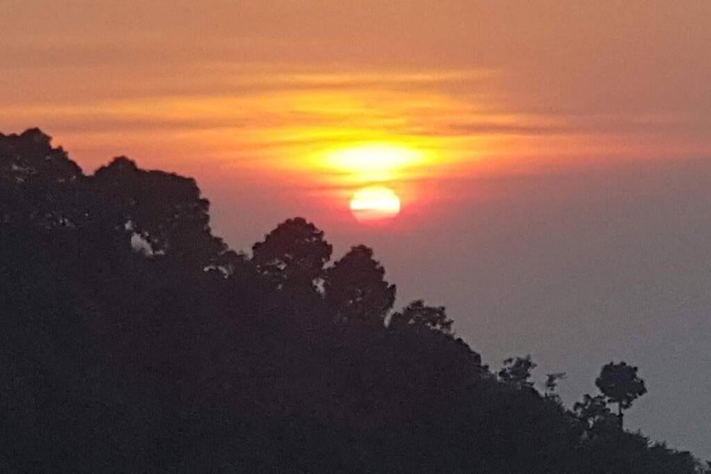 Kasauli Cascade A Cheerfull 4 Bedroom Challet المظهر الخارجي الصورة