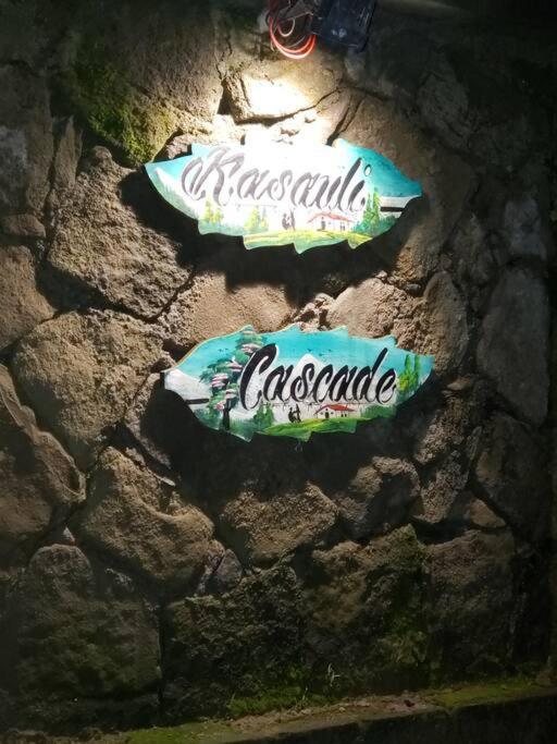 Kasauli Cascade A Cheerfull 4 Bedroom Challet المظهر الخارجي الصورة