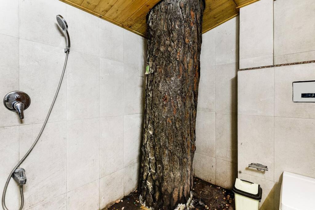 Kasauli Cascade A Cheerfull 4 Bedroom Challet المظهر الخارجي الصورة