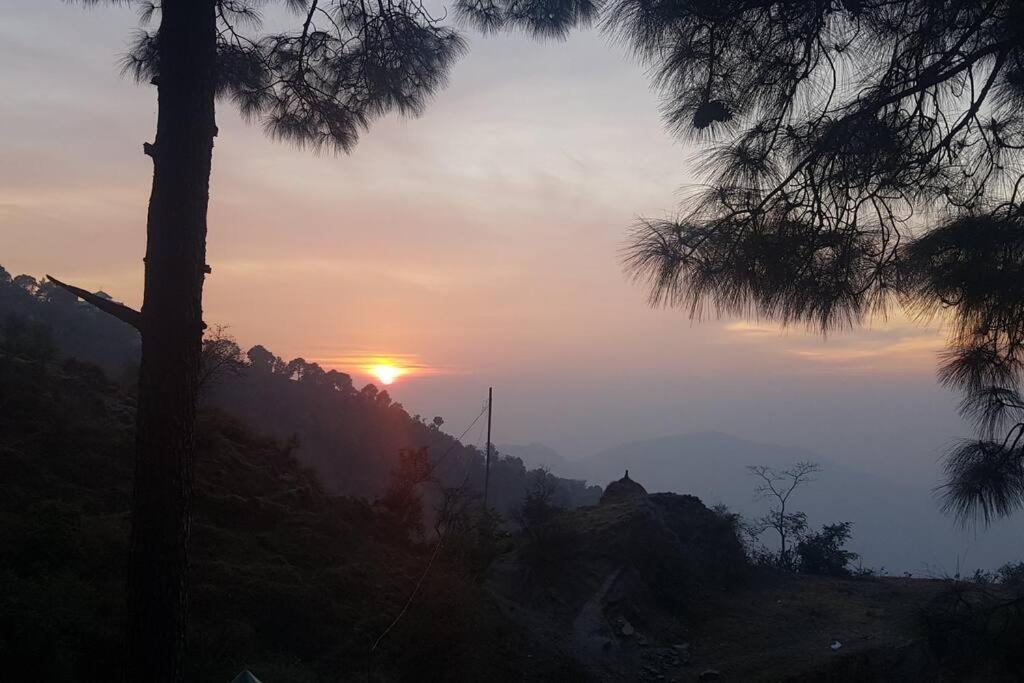 Kasauli Cascade A Cheerfull 4 Bedroom Challet المظهر الخارجي الصورة