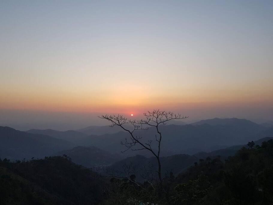 Kasauli Cascade A Cheerfull 4 Bedroom Challet المظهر الخارجي الصورة