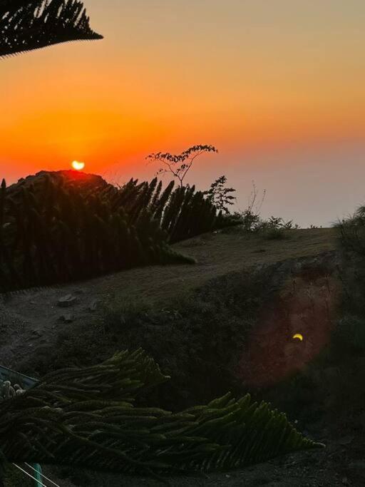 Kasauli Cascade A Cheerfull 4 Bedroom Challet المظهر الخارجي الصورة